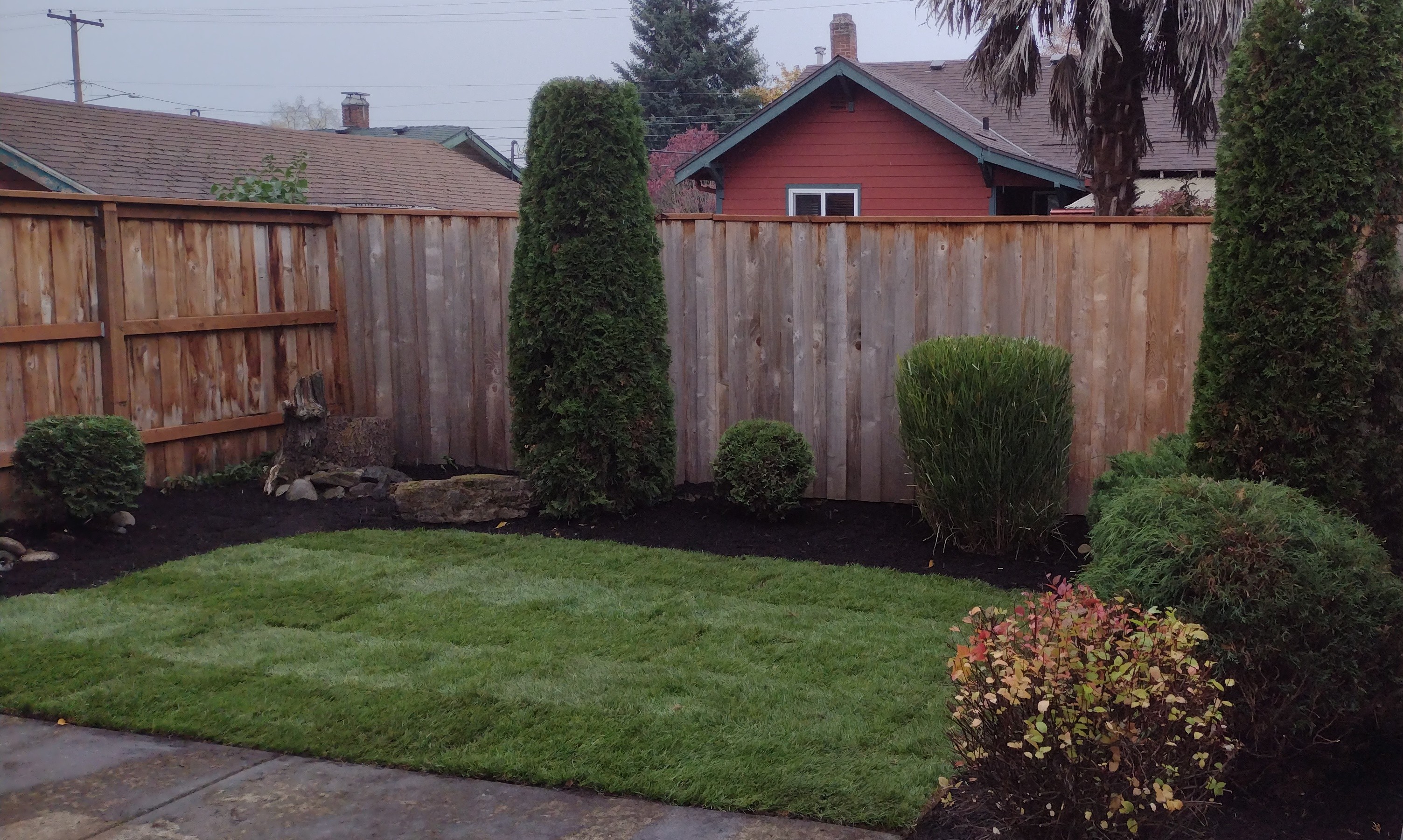Backyard Clean-up and Mowed Lawn